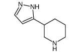 Piperidine, 3-(1H-pyrazol-3-yl)- (9CI) picture