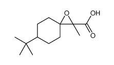 1-Oxaspiro[2.5]octane-2-carboxylicacid,6-tert-butyl-2-methyl-(8CI) picture