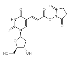 (e)-5-[2-(2-carboxyvinyl)]-2'-deoxyuridine n-hydroxy-succimide ester结构式