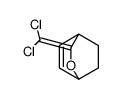 2-(dichloromethylidene)-3-oxabicyclo[2.2.2]oct-5-ene结构式