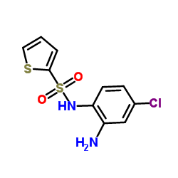 N-(2-Amino-4-chlorophenyl)-2-thiophenesulfonamide结构式