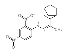 2,4-dinitro-N-(1-norbornan-2-ylethylideneamino)aniline Structure
