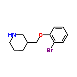 3-[(2-Bromophenoxy)methyl]piperidine结构式