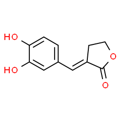 2(3H)-Furanone, 3-[(3,4-dihydroxyphenyl)methylene]dihydro-, (E)- (9CI) picture