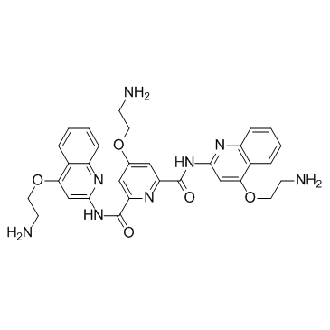 4-(2-氨基乙氧基)-N2,N6-二[4-(2-氨基乙氧基)-2-喹啉基]-2,6-吡啶二甲酰胺结构式