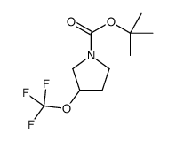 2-Methyl-2-propanyl 3-(trifluoromethoxy)-1-pyrrolidinecarboxylate结构式