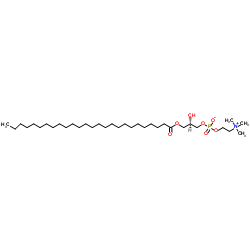 1-hexacosanoyl-2-hydroxy-sn-glycero-3-phosphocholine Structure