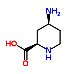 (2R,4S)-4-Amino-2-piperidinecarboxylic acid Structure