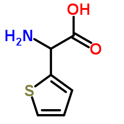 DL-α-氨基噻吩-2-醋酸图片