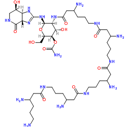 a 53930c Structure