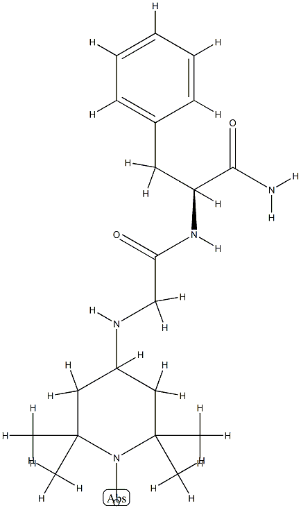 4-(glycyl-L-phenylalanylamido)-2,2,6,6-tetramethylpiperidinyl-1-oxy structure