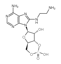 8-(2-氨基乙基)氨基腺苷-3',5'-环一磷酸结构式