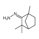 (2,2,4-trimethyl-3-bicyclo[2.2.1]heptanylidene)hydrazine结构式