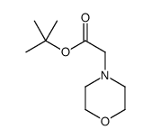 tert-butyl 2-morpholin-4-ylacetate Structure