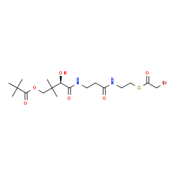 bromoacetyl-S-pantetheine 11-pivalate Structure