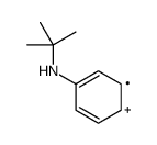 Aminylium, (1,1-dimethylethyl)phenyl Structure