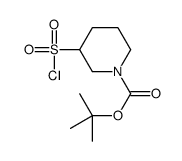 tert-Butyl 3-(chlorosulfonyl)piperidine-1-carboxylate picture