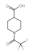 1-(2,2,2-三氟乙酰基)-4-哌啶羧酸图片