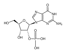 2'-guanylic acid picture
