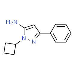 1-Cyclobutyl-3-phenyl-1H-pyrazol-5-amine结构式