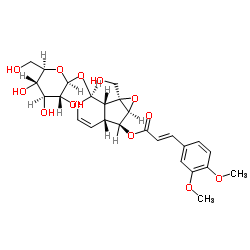 6-O-(3'',4''-Dimethoxycinnamoyl)catalpol picture