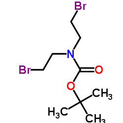 N-BOC-N,N-双(2-溴甲基)胺结构式