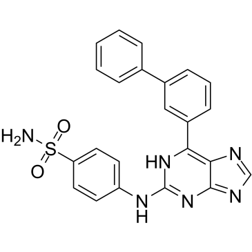 CDK2 inhibitor 73结构式