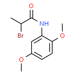 2-Bromo-N-(2,5-dimethoxyphenyl)propanamide图片