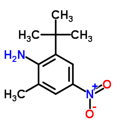 2-tert-Butyl-6-methyl-4-nitroaniline Structure