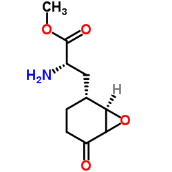 Methyl 3-[(1R,2R)-5-oxo-7-oxabicyclo[4.1.0]hept-2-yl]-L-alaninate结构式