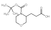 3-(2-CARBOXY-ETHYL)-MORPHOLINE-4-CARBOXYLIC ACID TERT-BUTYL ESTER picture