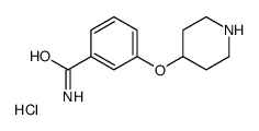 3-piperidin-4-yloxybenzamide,hydrochloride结构式