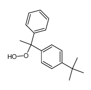 1-(4-tert-butyl-phenyl)-1-phenyl-ethyl hydroperoxide结构式