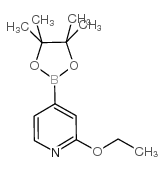 2-乙氧基-4-(4,4,5,5-四甲基-1,3,2- 二噁硼烷-2-基)-吡啶结构式