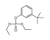 (3-tert-butylphenyl) diethyl phosphate结构式