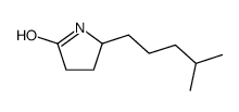 5-(4-methylpentyl)pyrrolidin-2-one Structure