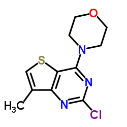 4-(2-氯-7-甲基噻吩并[3,2-d]嘧啶-4-基)吗啉图片