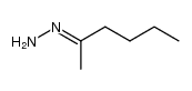 hexan-2-one hydrazone Structure