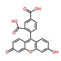 1,3-Benzenedicarboxylic acid, 4-(6-hydroxy-3-oxo-3H-xanthen-9-yl)- Structure