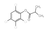 (2,3,4,6-tetrachlorophenyl) 2-methylpropanoate Structure