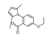 1-(4-ethoxy-2-nitrophenyl)-2,5-dimethylpyrrole Structure