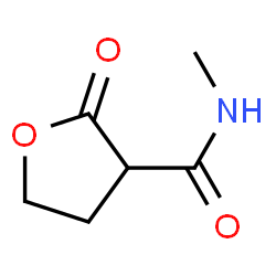 3-Furancarboxamide,tetrahydro-N-methyl-2-oxo-(9CI) structure