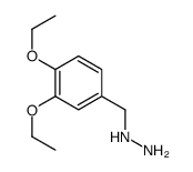 (3,4-diethoxyphenyl)methylhydrazine Structure