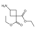 diethyl 3-aminocyclobutane-1,1-dicarboxylate结构式
