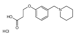 3-[3-(piperidin-1-ylmethyl)phenoxy]propanoic acid,hydrochloride Structure