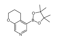 5-(4,4,5,5-tetramethyl-1,3,2-dioxaborolan-2-yl)-3,4-dihydro-2H-pyrano[2,3-c]pyridine结构式