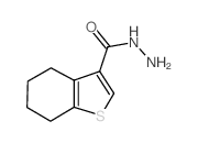 4,5,6,7-四氢-1-苯并噻吩-3-碳酰肼结构式