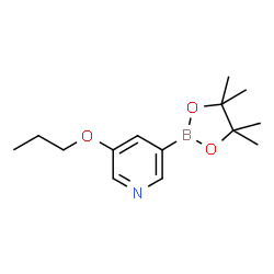 3-Propoxy-5-(4,4,5,5-tetramethyl-1,3,2-dioxaborolan-2-yl)pyridine结构式