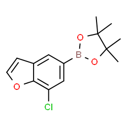 2-(7-chlorobenzofuran-5-yl)-4,4,5,5-tetramethyl-1,3,2-dioxaborolane picture