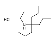 ethyl(4-propylheptan-4-yl)azanium,chloride结构式